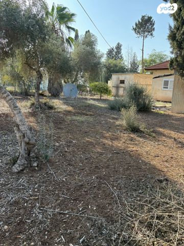 מגרשים, גורדון, מרכז עפולה עלית, עפולה