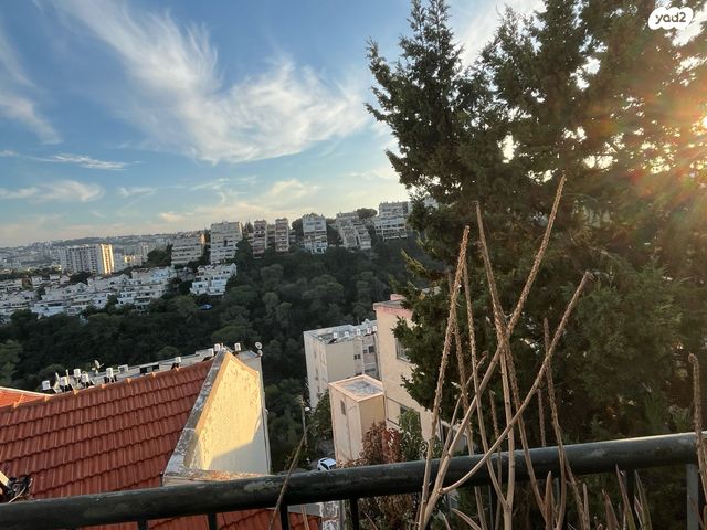 דופלקס, האסיף, כרמל מרכזי - שד' קיש, חיפה