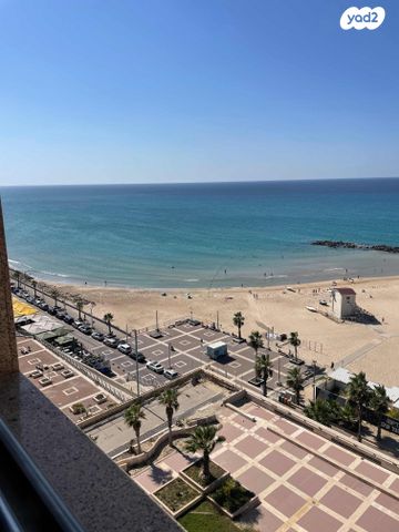 דוד אלעזר 10