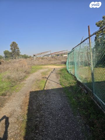 משק חקלאי/ נחלה, כפר טרומן