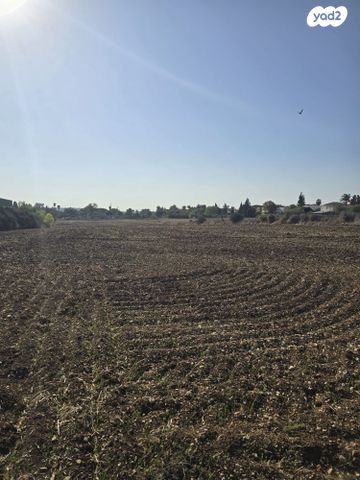 משק חקלאי/ נחלה