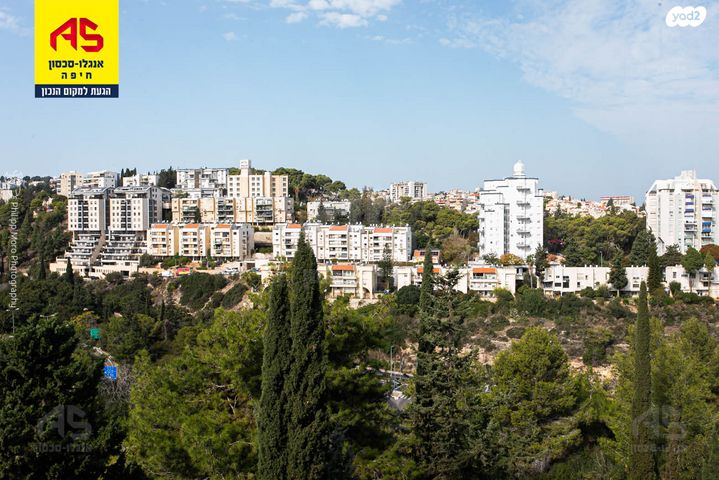 משה גוט לוין 