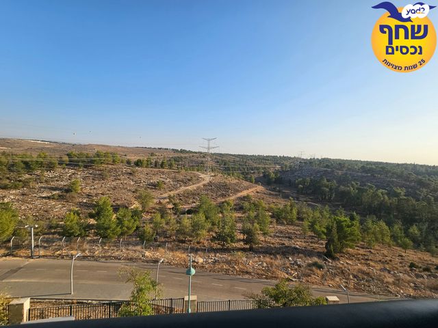 דופלקס, אלעד, אלעד