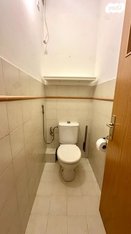 דירה, תנועות הנוער, נעורים, ראשון לציון