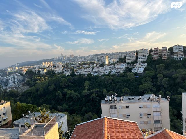 דופלקס, האסיף, כרמל מרכזי - שד' קיש, חיפה