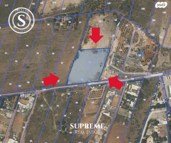 מגרשים, שאר העיר, ראשון לציון