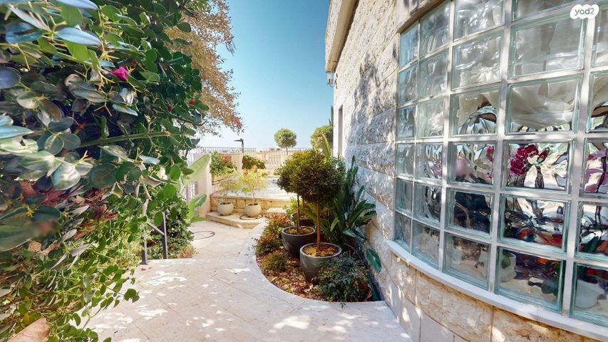 דירת גן, אנצו סירני, רמת אשכול, חיפה