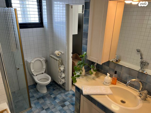 גג/ פנטהאוז, בארי, נתניה