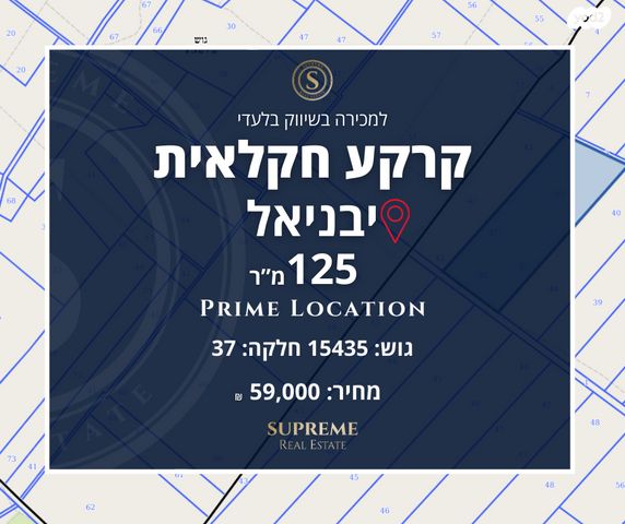 מגרשים