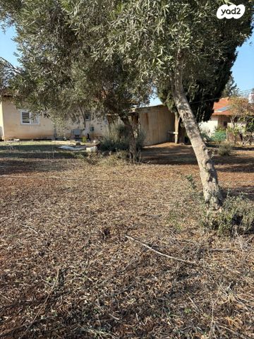 מגרשים, גורדון, מרכז עפולה עלית, עפולה