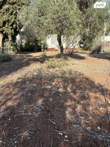 מרכז עפולה עלית