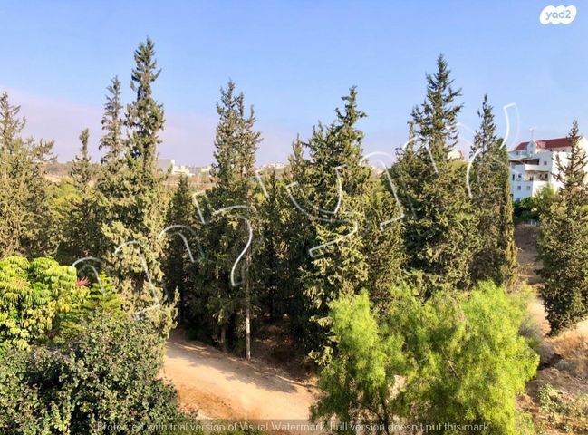 דופלקס, ה' באייר, נווה אפק, ראש העין