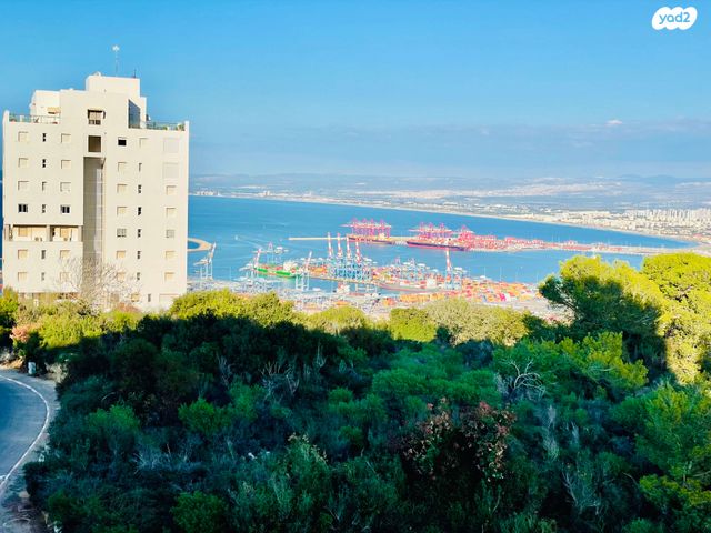 ליאון בלום 2