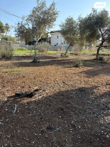 בית פרטי/ קוטג', גורדון, מרכז עפולה עלית, עפולה