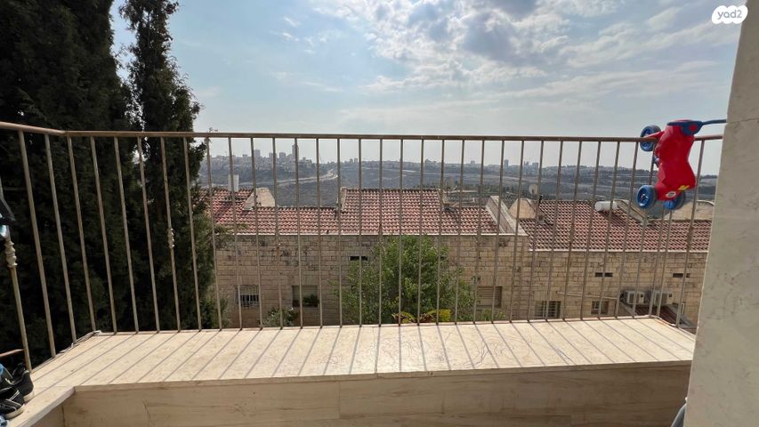 אהרון אשכולי 