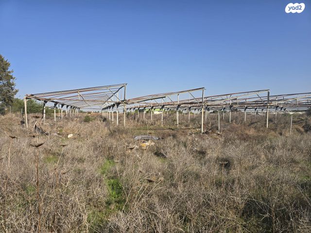 משק חקלאי/ נחלה, כפר טרומן