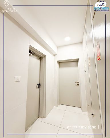 דירה, נתיבות