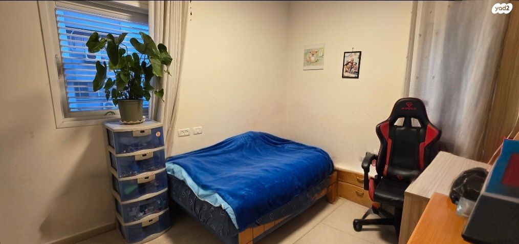 דירה, דקל, כפר סבא