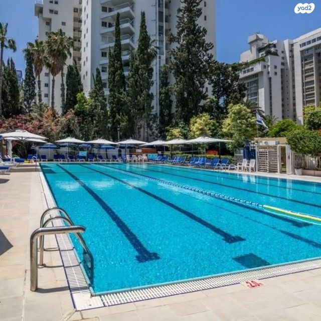 פישמן מיימון 