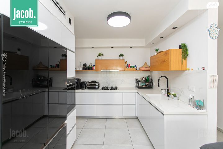 דירה, אריאל שרון, החותרים, טירת כרמל