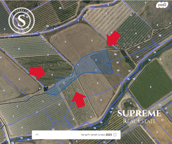 מגרשים, התאנה, זכרון יעקב