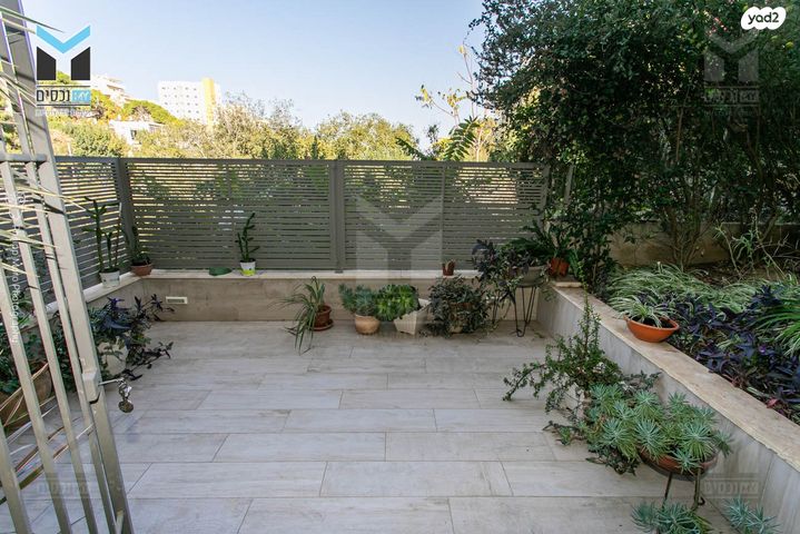 דירה, ארתור הנטקה, אחוזה, חיפה