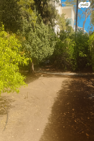 דירה, הגליל 21, נווה שאנן, חיפה