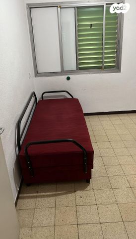 דירה, עמוס, בן דור, נשר