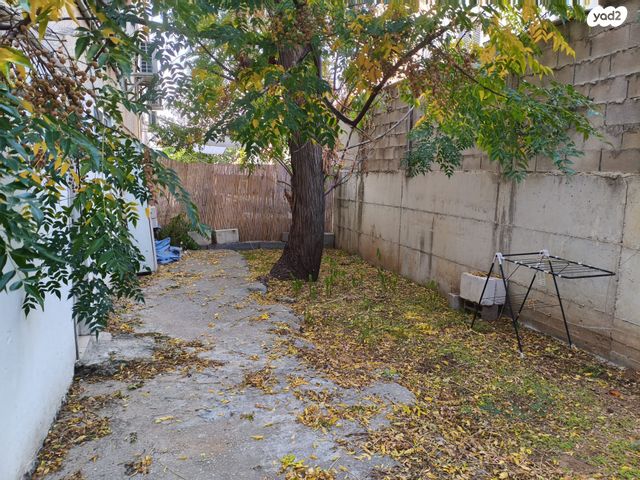 שכונת האוצר