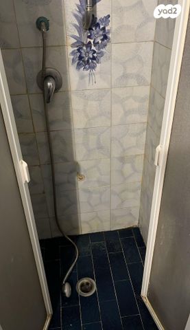 דירה, עמוס, בן דור, נשר