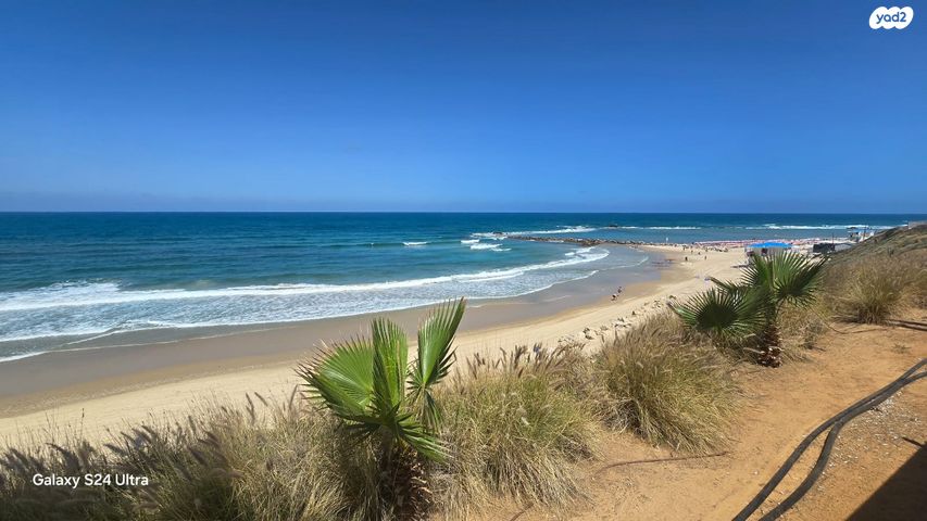 דירה, הרצל, הגבול רוטשילד, בת ים