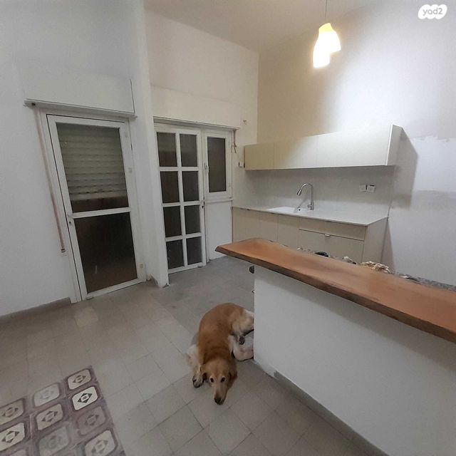 דירה, הלל, מסדה, חיפה