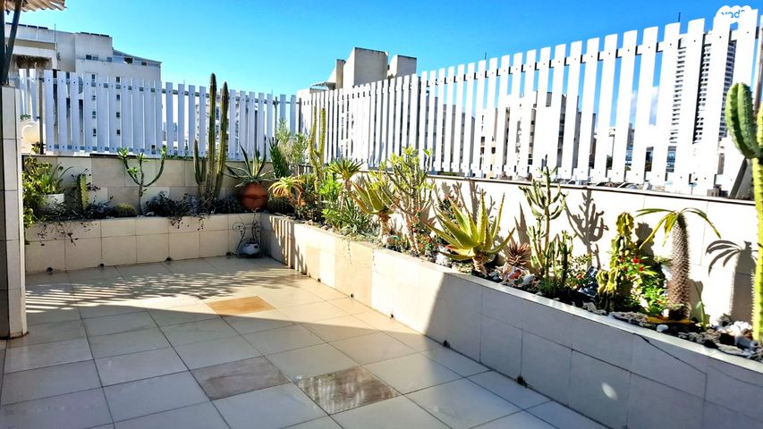 גג/ פנטהאוז, כספי, גבעת בוסל, חדרה