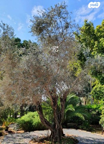 בית פרטי/ קוטג', סביון