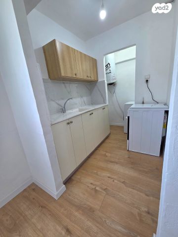 שבטי ישראל 28