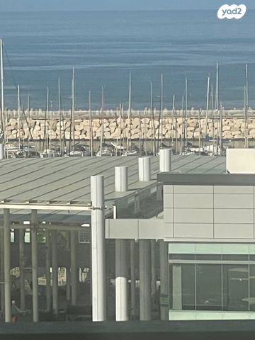 דירה, אשקלון