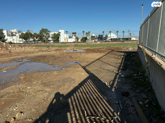 מגרשים, חיפה