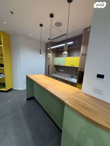 משרדים, פרופ' אברהם פצ'ורניק, נס ציונה