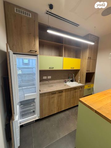 משרדים, פרופ' אברהם פצ'ורניק, נס ציונה