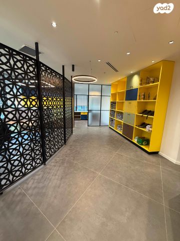 משרדים, פרופ' אברהם פצ'ורניק, נס ציונה