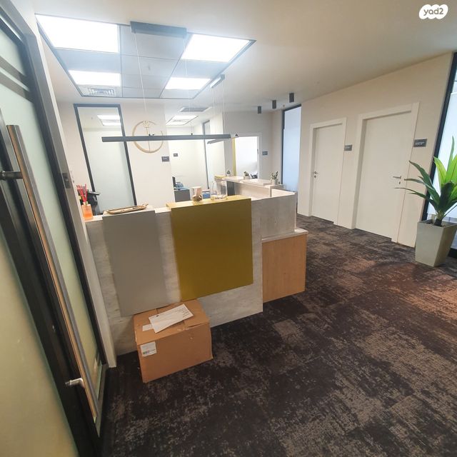 כנפי נשרים 13