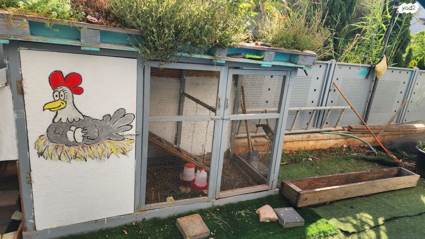 תמונת מודעה - חיות מחמד