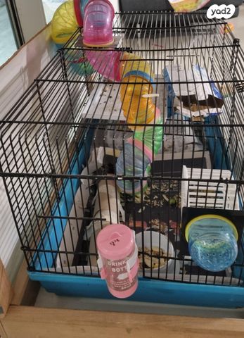 תמונת מודעה - חיות מחמד