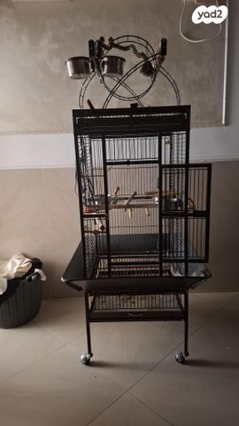 תמונת מודעה - חיות מחמד