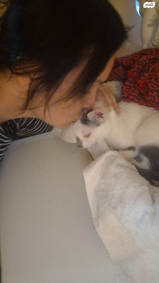 תמונת מודעה - חיות מחמד