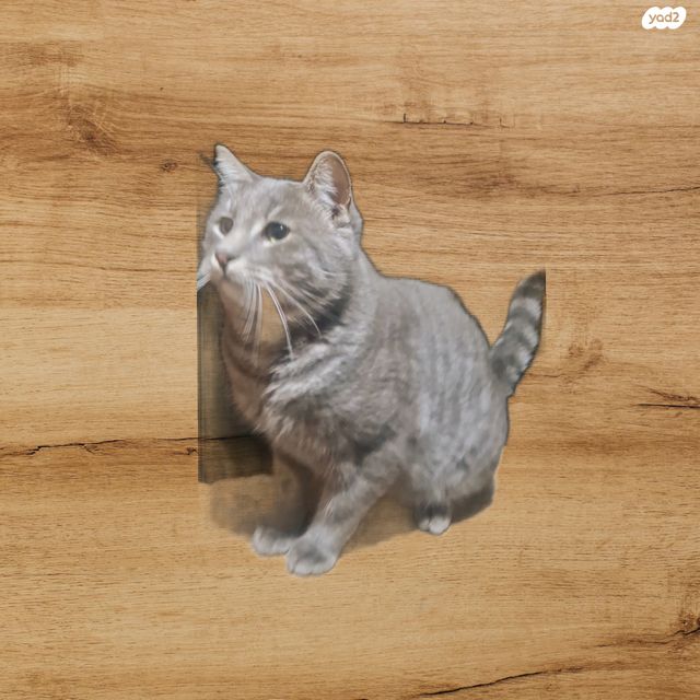 תמונת מודעה - חיות מחמד