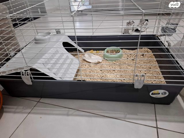 תמונת מודעה - חיות מחמד