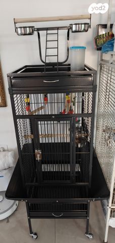 תמונת מודעה - חיות מחמד