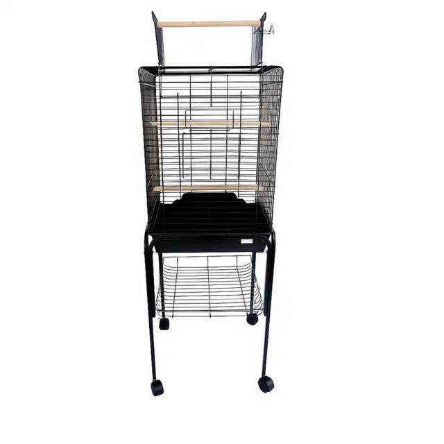 תוכי פינקים