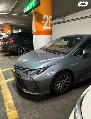 טויוטה קורולה